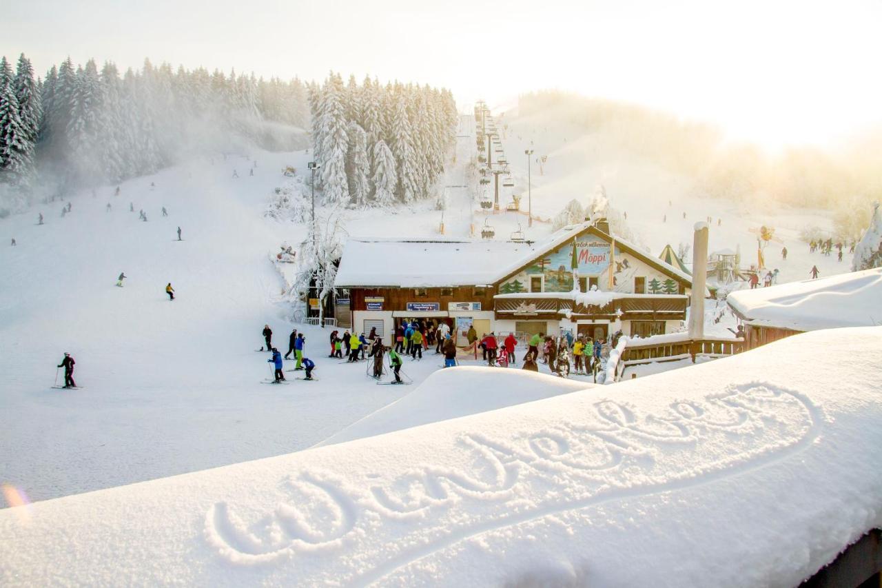 The Suite Winterberg Deluxe - Exklusive Ausstattung, Bestlage Zwischen Skikarussell Und Marktplatz, Eigener Garten, Ski- Und Fahrradraum, Ruhige Suedausrichtung, Wlan, Hundefreundlich 외부 사진