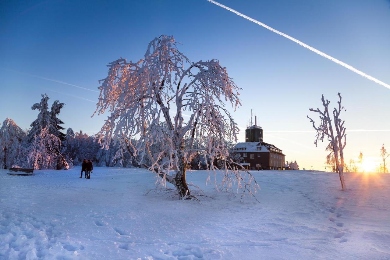 The Suite Winterberg Deluxe - Exklusive Ausstattung, Bestlage Zwischen Skikarussell Und Marktplatz, Eigener Garten, Ski- Und Fahrradraum, Ruhige Suedausrichtung, Wlan, Hundefreundlich 외부 사진