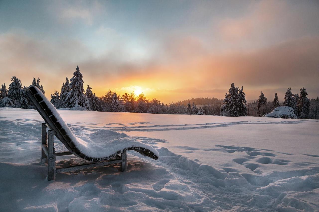 The Suite Winterberg Deluxe - Exklusive Ausstattung, Bestlage Zwischen Skikarussell Und Marktplatz, Eigener Garten, Ski- Und Fahrradraum, Ruhige Suedausrichtung, Wlan, Hundefreundlich 외부 사진