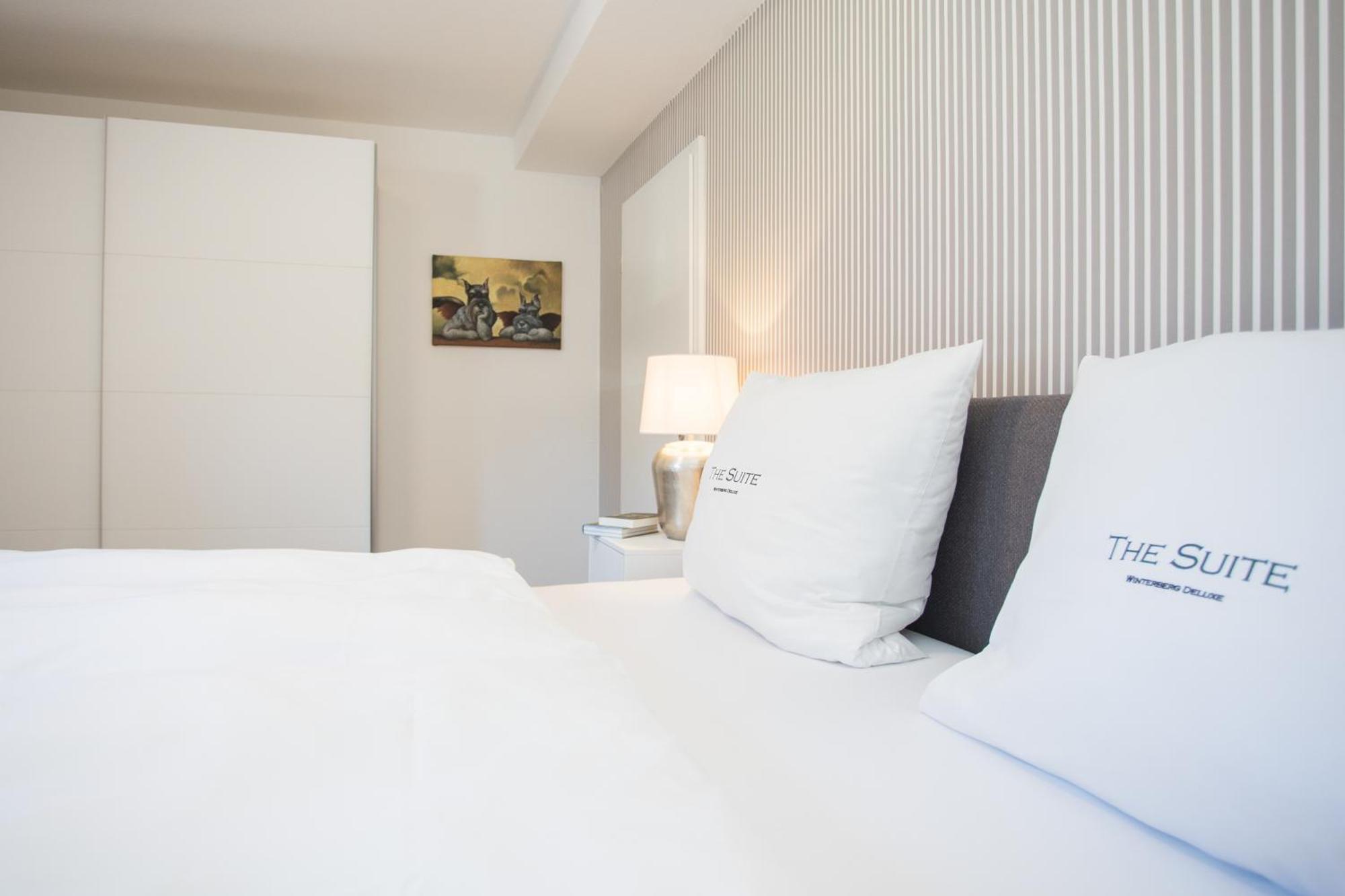 The Suite Winterberg Deluxe - Exklusive Ausstattung, Bestlage Zwischen Skikarussell Und Marktplatz, Eigener Garten, Ski- Und Fahrradraum, Ruhige Suedausrichtung, Wlan, Hundefreundlich 외부 사진