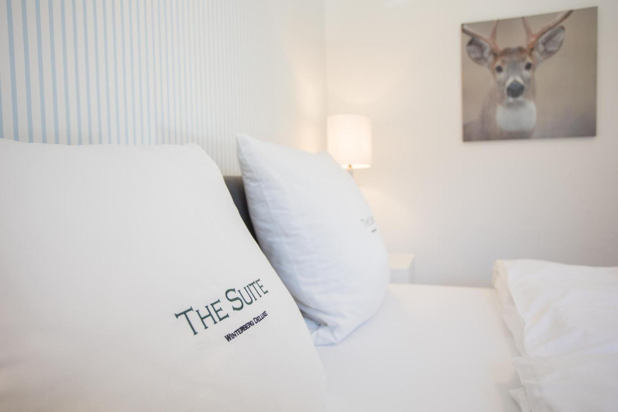 The Suite Winterberg Deluxe - Exklusive Ausstattung, Bestlage Zwischen Skikarussell Und Marktplatz, Eigener Garten, Ski- Und Fahrradraum, Ruhige Suedausrichtung, Wlan, Hundefreundlich 외부 사진